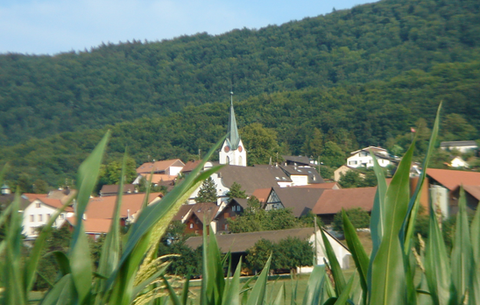 Blick durch Getreidefeld auf das Zentrum von Metzerlen-Mariastein Metzerlen-Mariastein