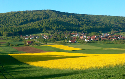 Blick über Wiesen und Felder auf die Metzerlen-Mariastein - Gemeinde Metzerlen-Mariastein Metzerlen-Mariastein