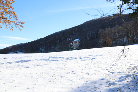 Schnee, Burg Rotberg Schnee, Burg Rotberg