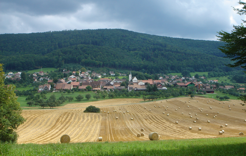 Blick auf Metzerlen-Mariastein im Spätsommer - Gemeinde Metzerlen-Mariastein Metzerlen-Mariastein