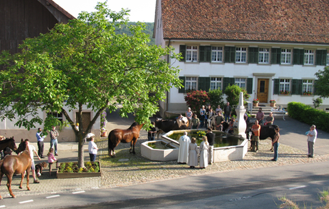 Bild6 Bild6