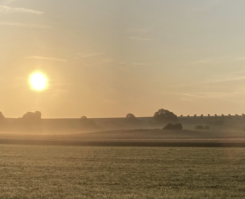 Sonne Sonne
