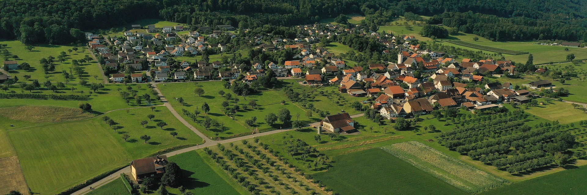Metzerlen-Sommer 2025_05
