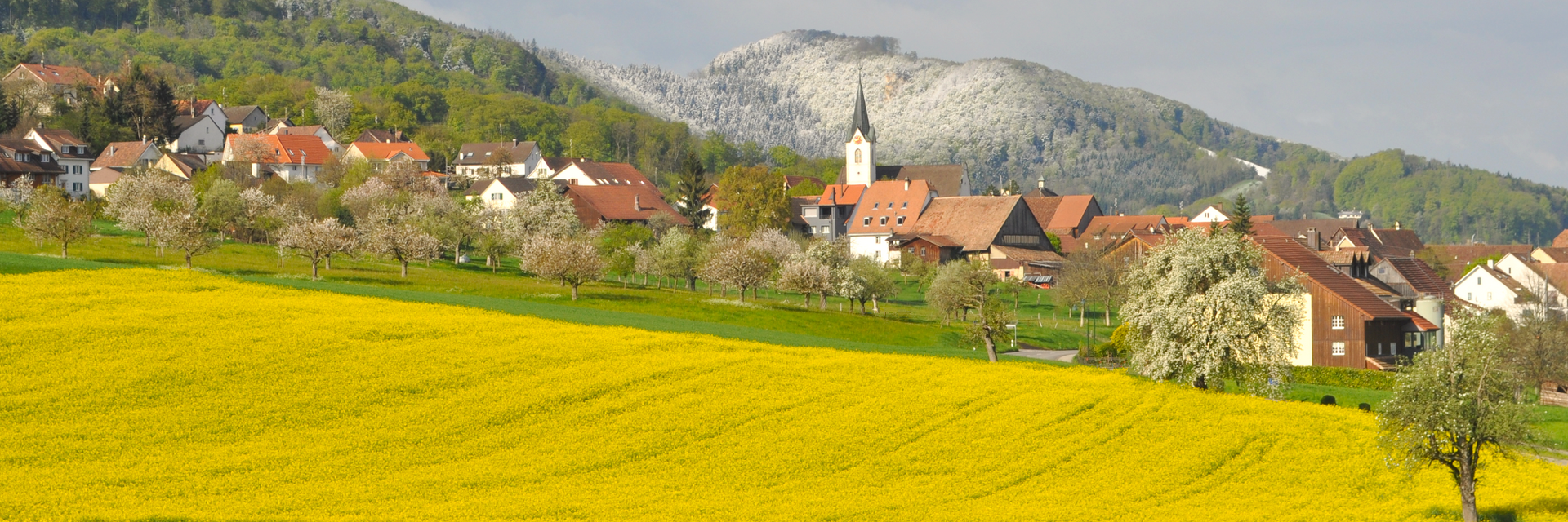 Titelbanner - Metzerlen Dorf Westsicht