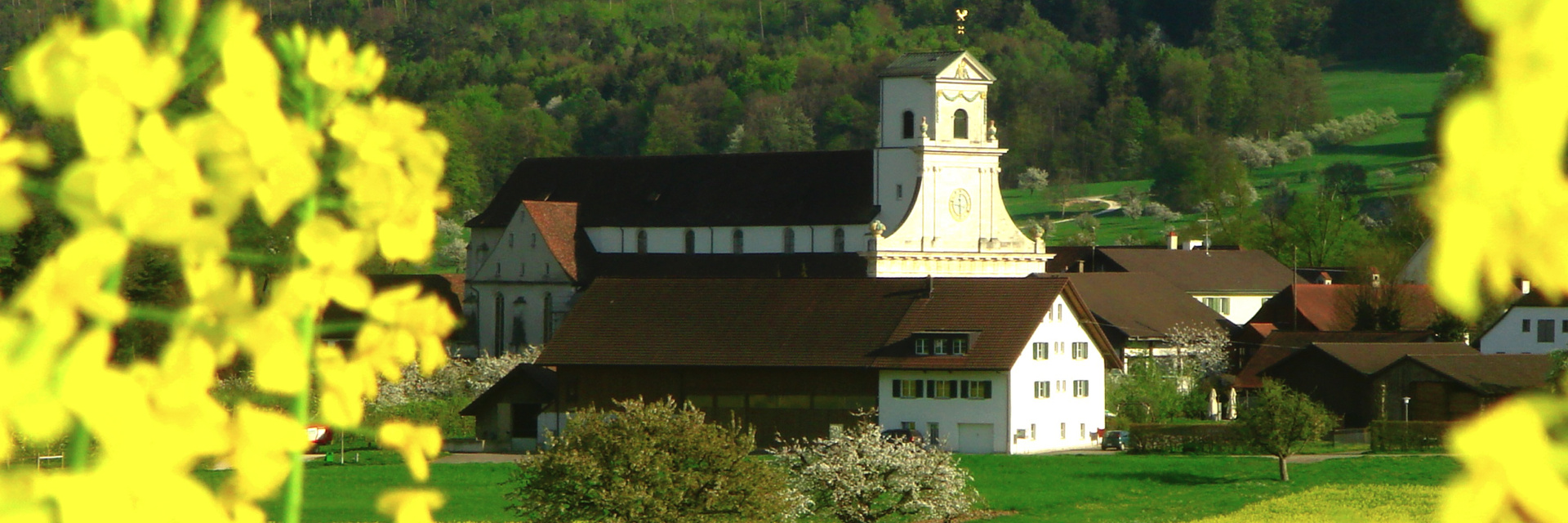 Titelbanner - Kloster Mariastein