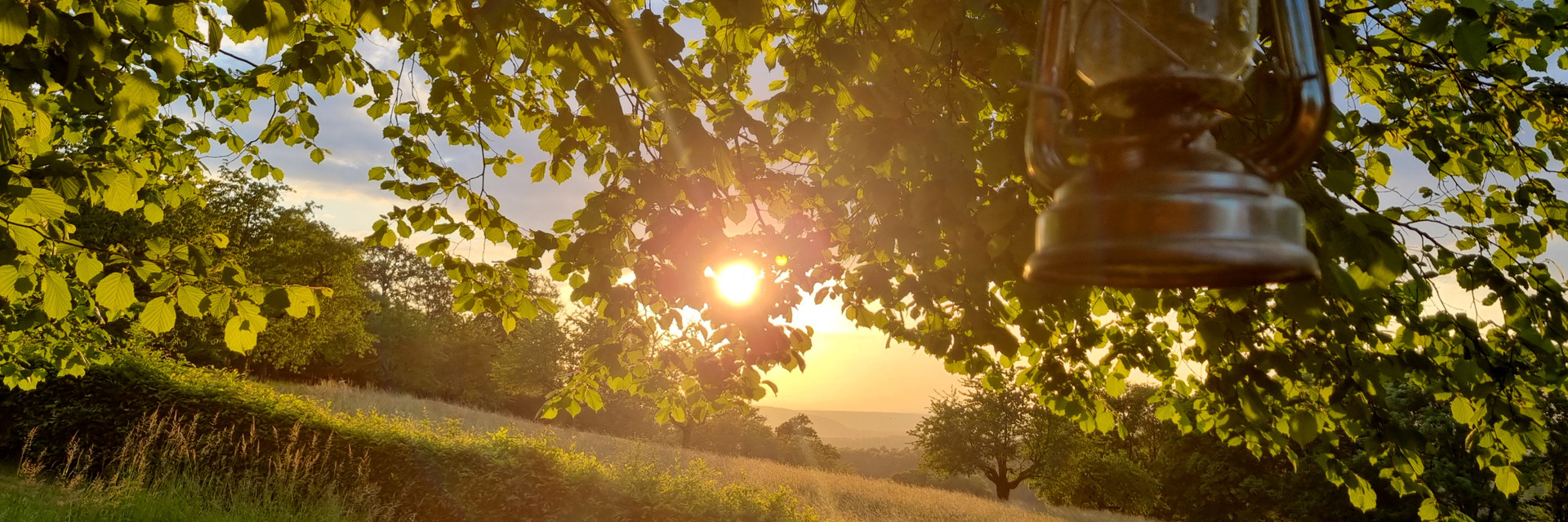 Sonnenuntergang, Baum, Feld