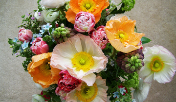 bouquet-of-flowers-1325510