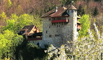 Titelbanner Burg Rotberg - Gemeinde Metzerlen - Mariastein, Daniel Renz Titelbanner Burg Rotberg