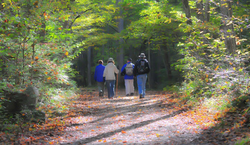 Wandergruppe Wandergruppe