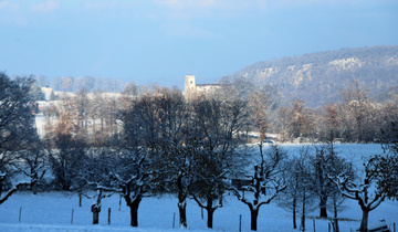 Bild für GV 11.12.23