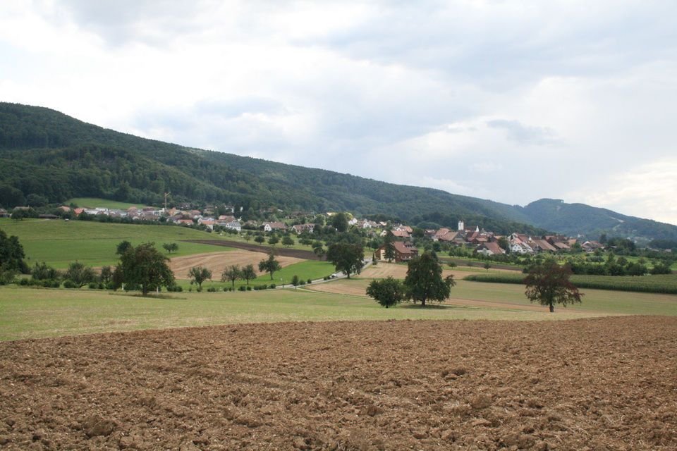 IMG_8440 IMG_8440