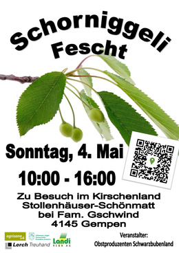 SCHORNIGGELIFEST 2025 Flyer